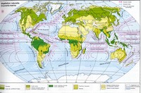 Vegetation map and marine currents of the world