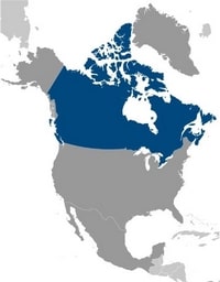 Location Canada North America