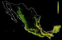 Forest landscape integrity map Mexico 2019