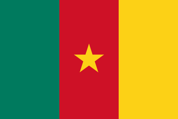 Flag of Cameroon