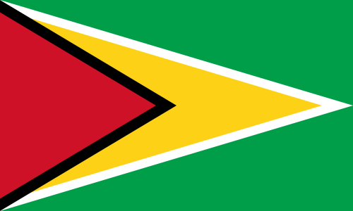 Flag of Guyana