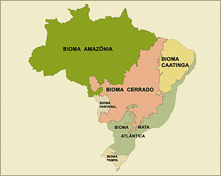 Map of the six biomes or eco-regions in the Brazil.