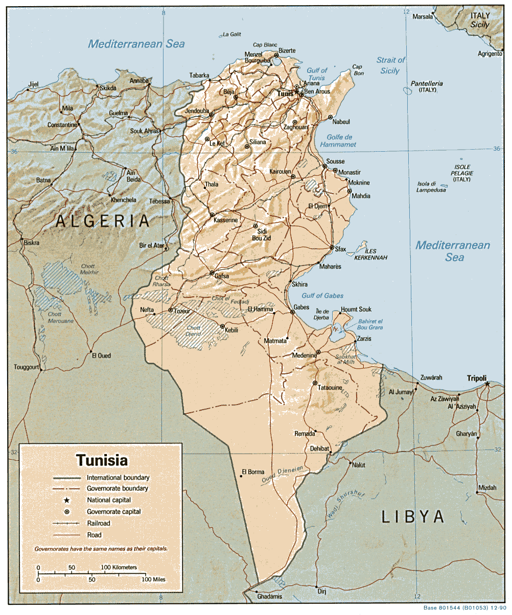 Physical map of Tunisia