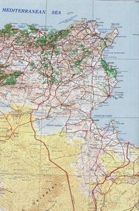 Vegetation map and the deserts of Tunisia
